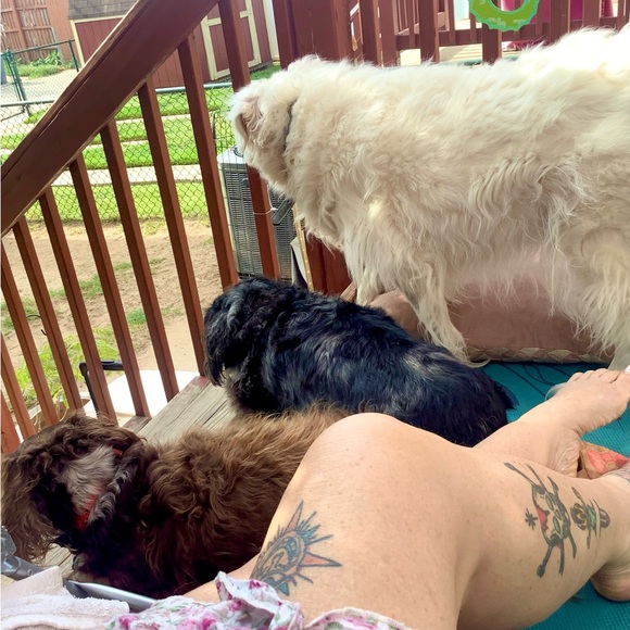 Meet your Posher, Marey (Mugsy j) - Picture 15 of 16